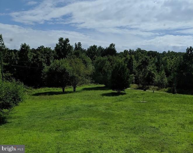 17827 Horsehead Road Brandywine, MD 20613 - Photo 37 of 43 Lush summer green