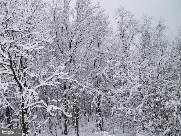 17827 Horsehead Road Brandywine, MD 20613 - Photo 39 of 43 Winter wonderland