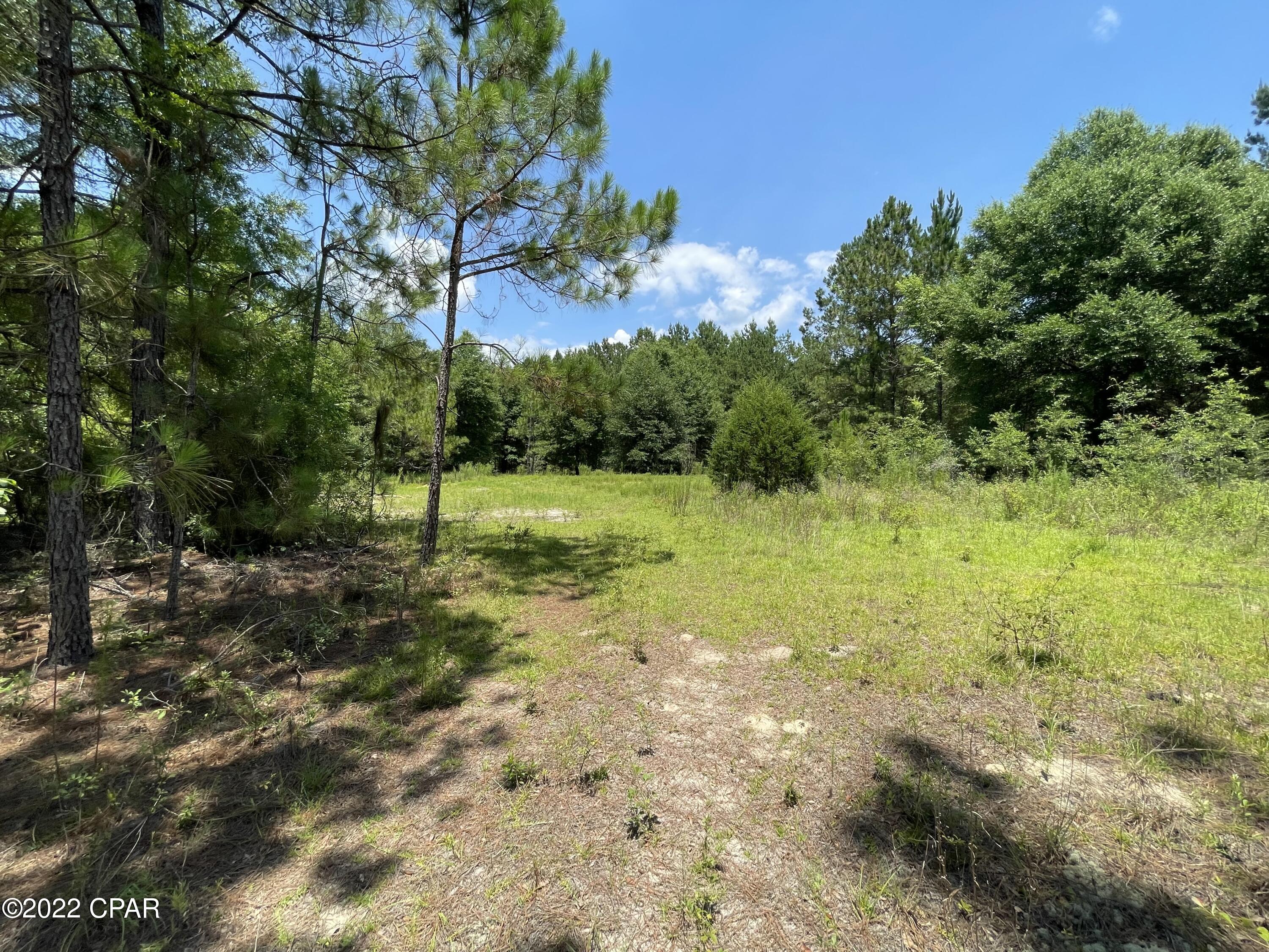 0 Tobe Retherford Road Bonifay, FL 32425 - Photo 7 of 9 Gallery Image 7