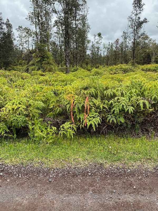8530 South Apele Road Mountain View, HI 96771 - Photo 3 of 5 Gallery Image 3