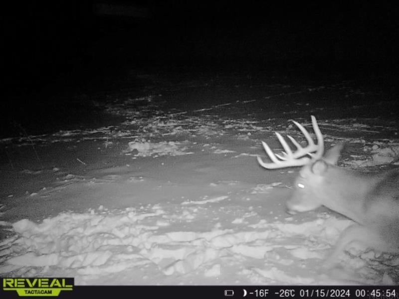 Oak Road Greeley, IA 52050 - Photo 12 of 28 Gallery Image 12