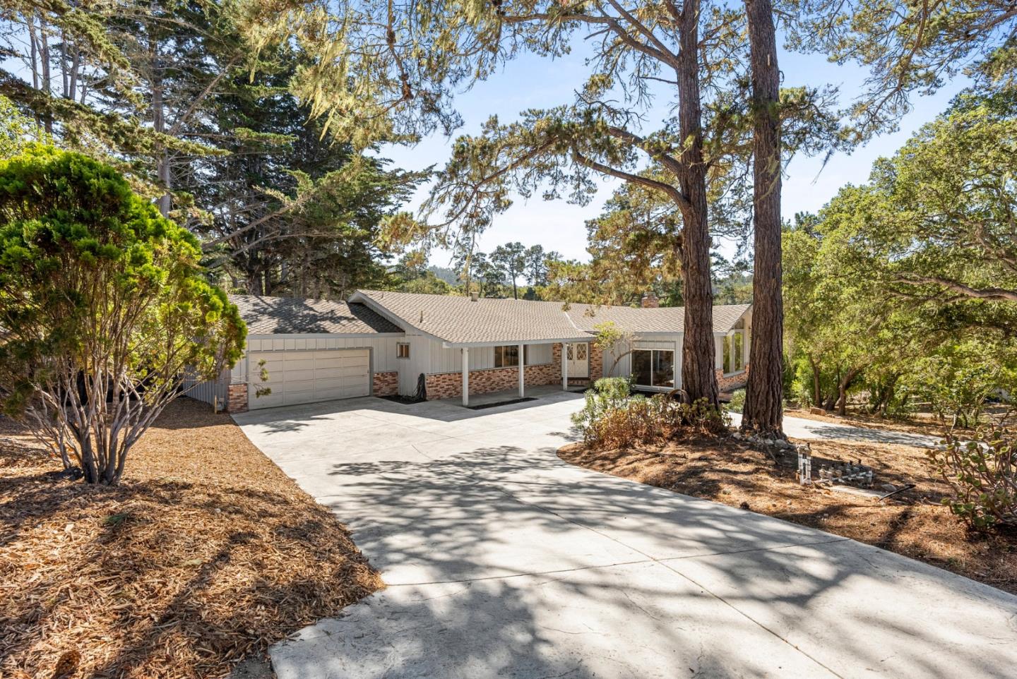 1272 Castro Road Monterey, CA 93940 - Photo 3 of 54 a large tree in front of a house