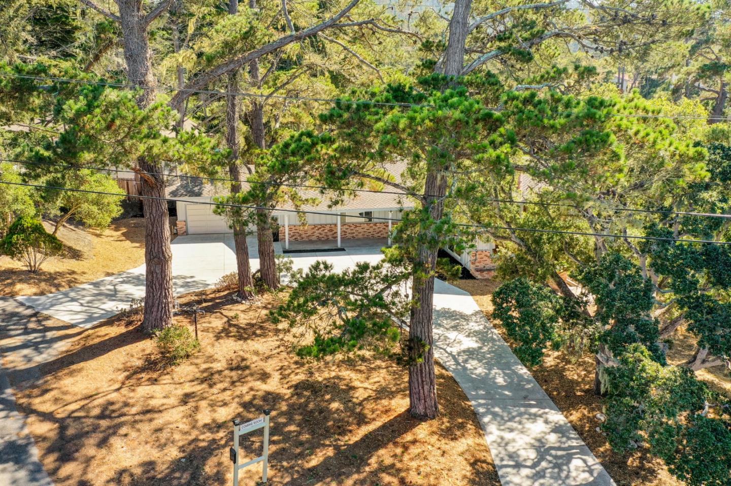 1272 Castro Road Monterey, CA 93940 - Photo 4 of 54 a picture of trees