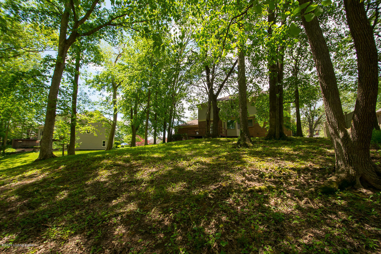 15011 Bircham Road Louisville, KY 40245 - Photo 68 of 79 Property line extends to island. Backs up to Floyd's Fork where you will see great nature life and kayakers!