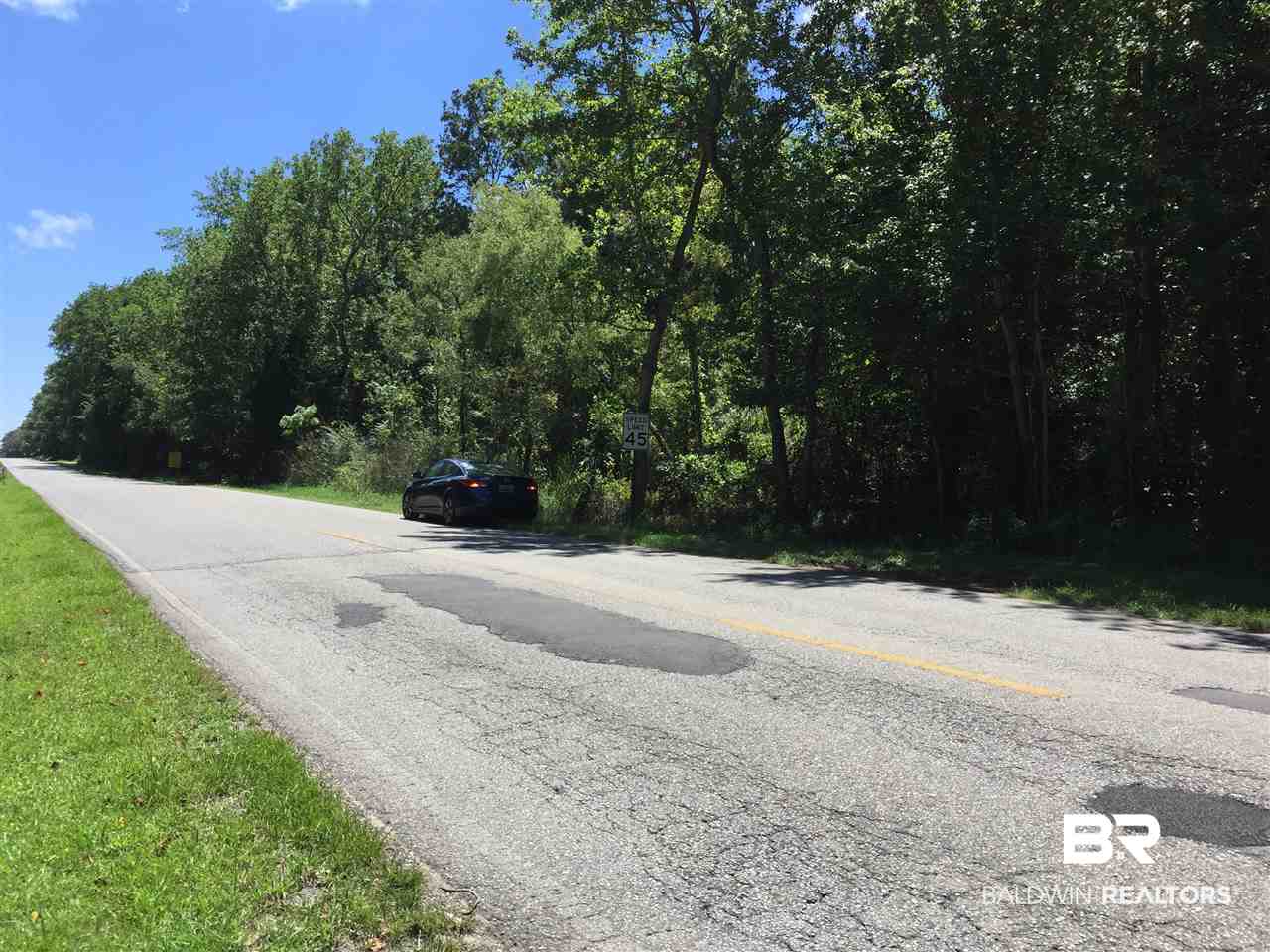 0 Main Street Elberta, AL 36530 - Photo 3 of 3