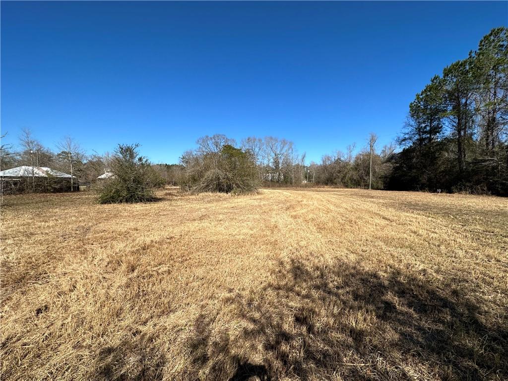 68174 Reed Road Pearl River, LA 70452 - Photo 7 of 7 Gallery Image 7