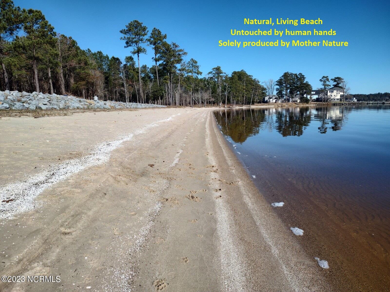 3 Sandy Bay Drive West Arapahoe, NC 28510 - Photo 8 of 14 Natural Living Beach, Untouched by Human