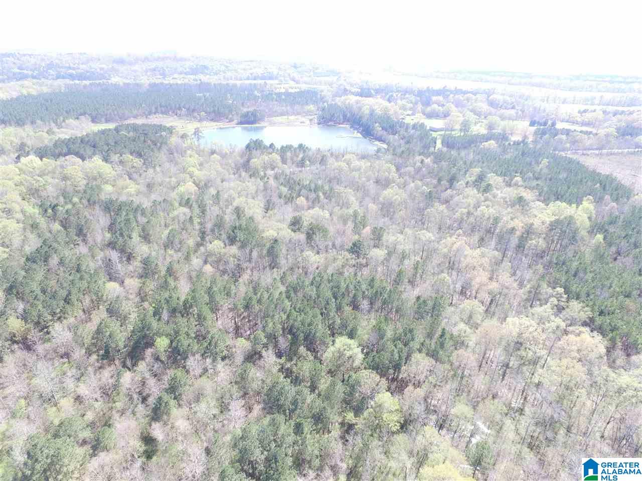 Pinedale Road, Unit 160 Ashville, AL 35953 - Photo 5 of 10