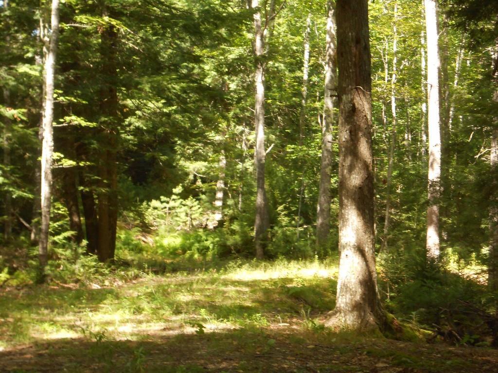 0 River Run Road Edgecomb, ME 04556 - Photo 1 of 1 Photo