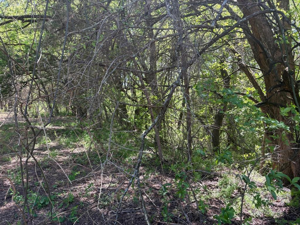 100 Rockport Road Sherman, TX 75092 - Photo 11 of 13