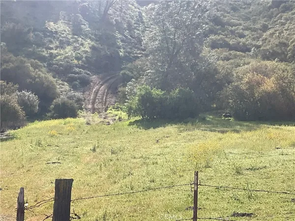 a view of a yard