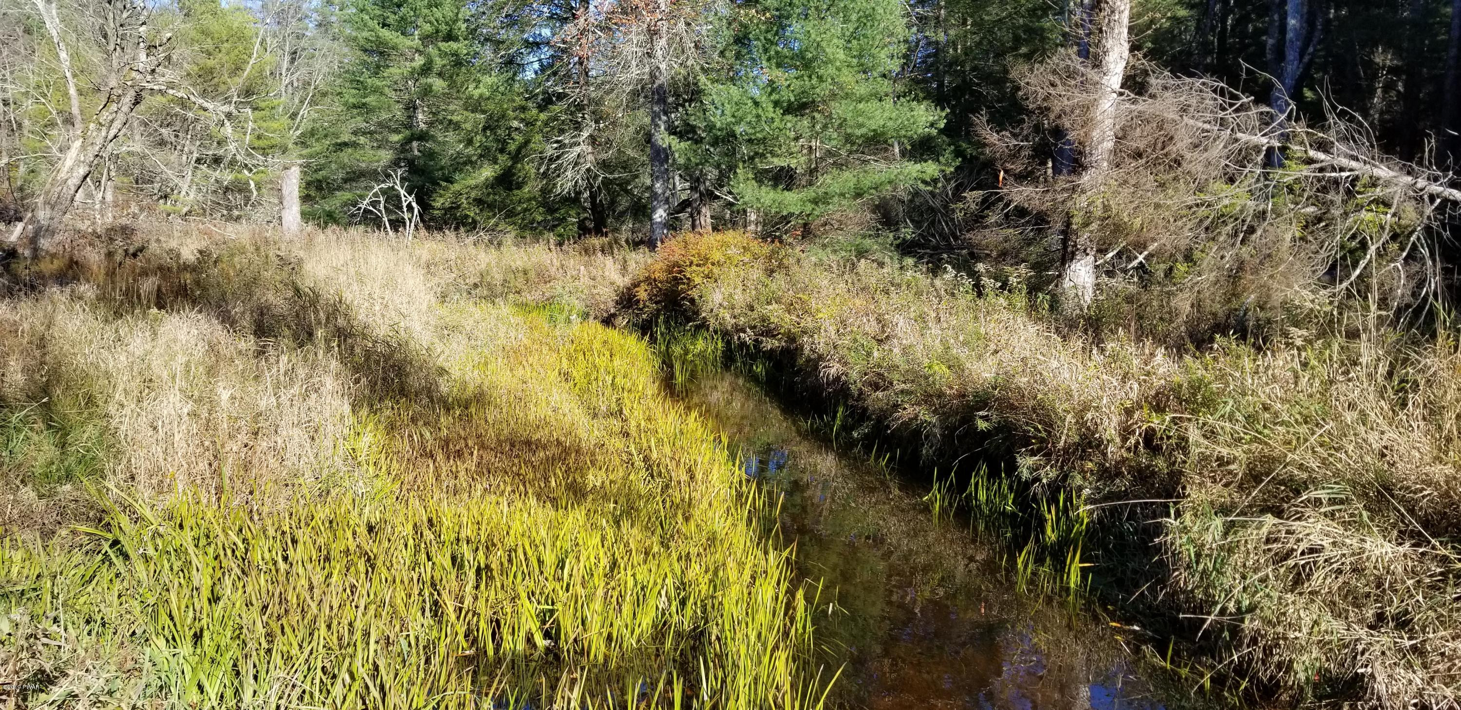 Lot #22 Swamp Pond Road Narrowsburg, NY 12764 - Photo 12 of 36