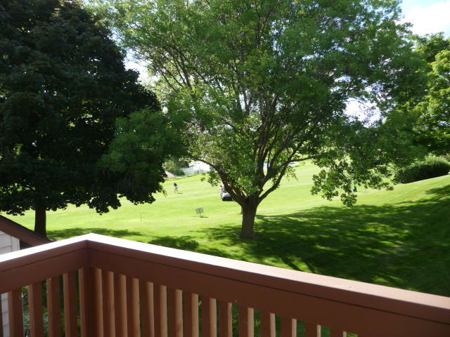 694 Chandler Road Gurnee, IL 60031 - Photo 14 of 16 a wooden deck with a forest