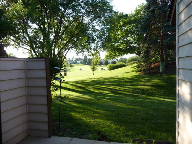 694 Chandler Road Gurnee, IL 60031 - Photo 15 of 16 a view of a yard with plants