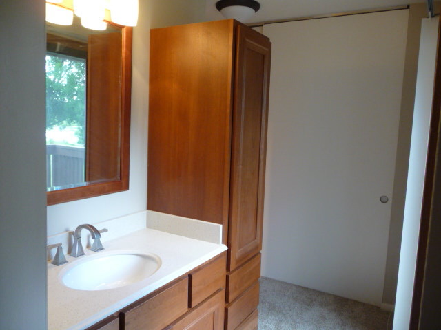 694 Chandler Road Gurnee, IL 60031 - Photo 10 of 16 a bathroom with a sink and a mirror