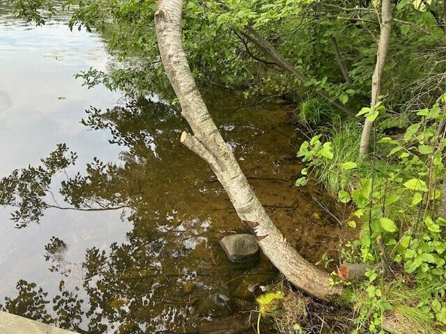 5076 Highway 70 Lincoln, WI 54521 - Photo 11 of 12 Water 2