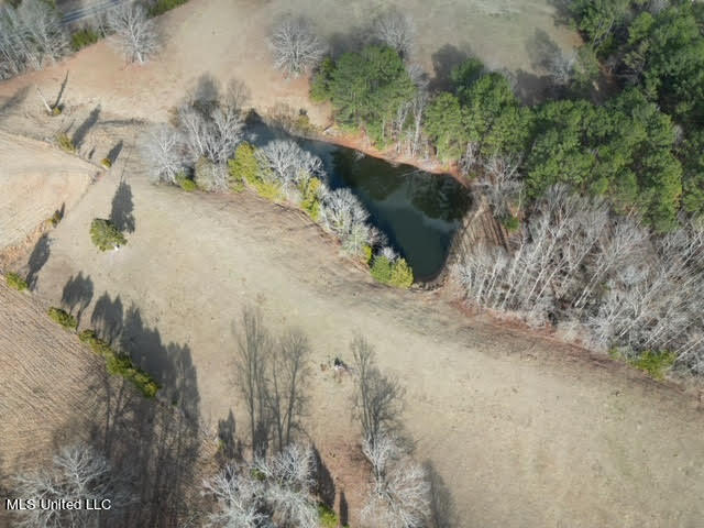 4640 Potts Camp Road Potts Camp, MS 38659 - Photo 3 of 41 unnamed (7)