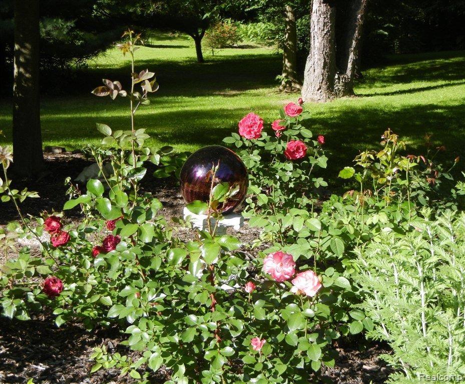 8740 Clement Road Clarkston, MI 48346 - Photo 26 of 27 Flowers in Bloom