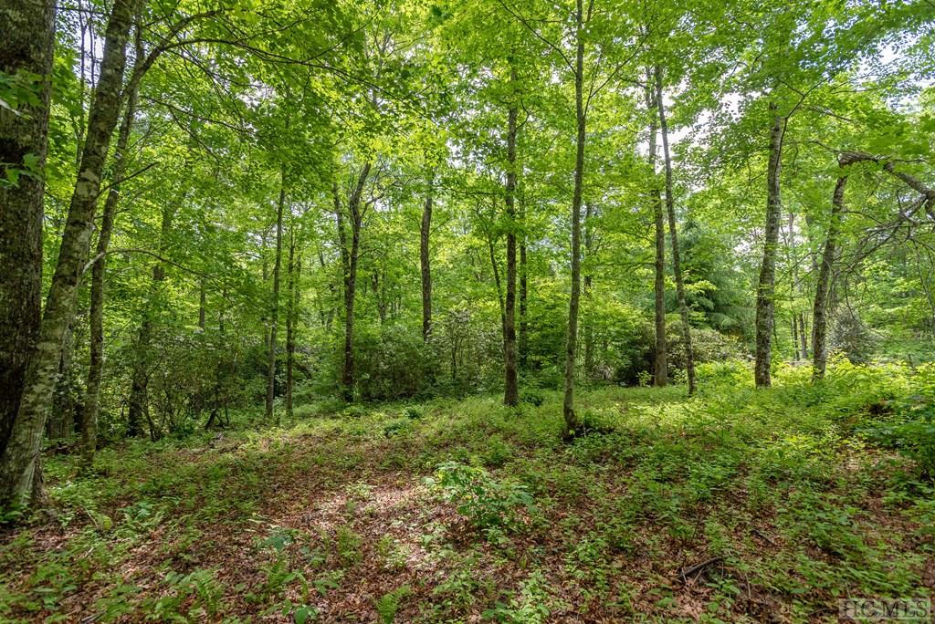 Lot 39 Covered Bridge Road Cullowhee, NC 28723 - Photo 3 of 26 Gallery Image 3