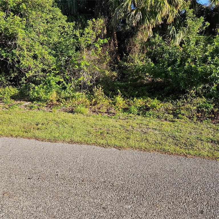 Kacher Rd Port North Port, FL 34288 - Photo 1 of 2 a view of a garden with an outdoor space
