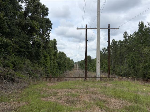 0 Thigpen Road Franklinton, LA 70438 - Photo 13 of 34