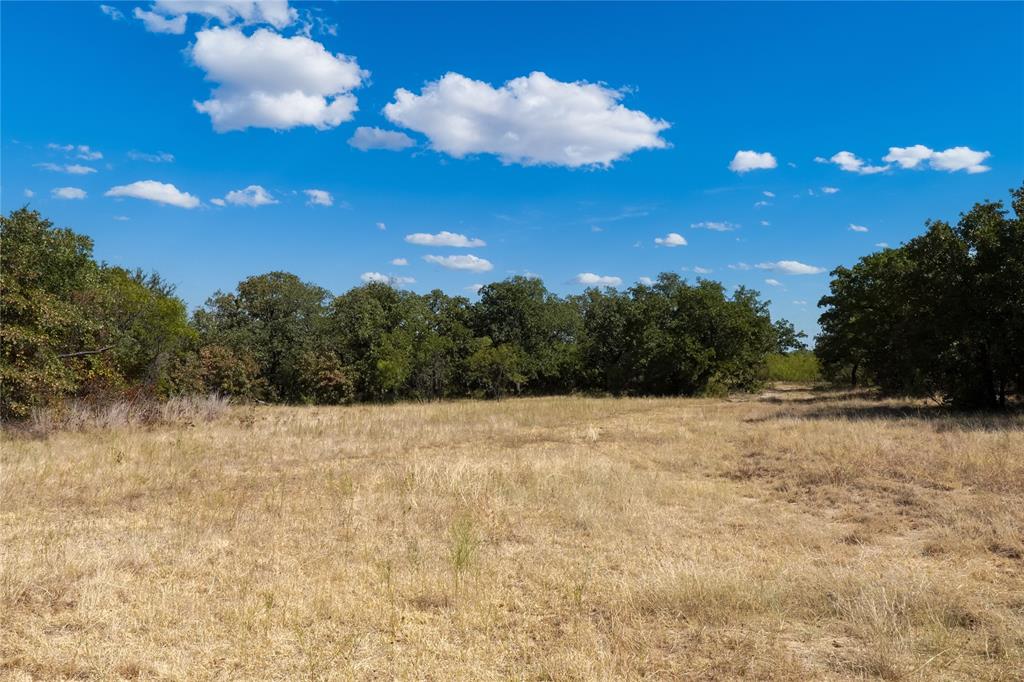 Two 2 Bush Road Perrin, TX 76486 - Photo 30 of 40 Gallery Image 30