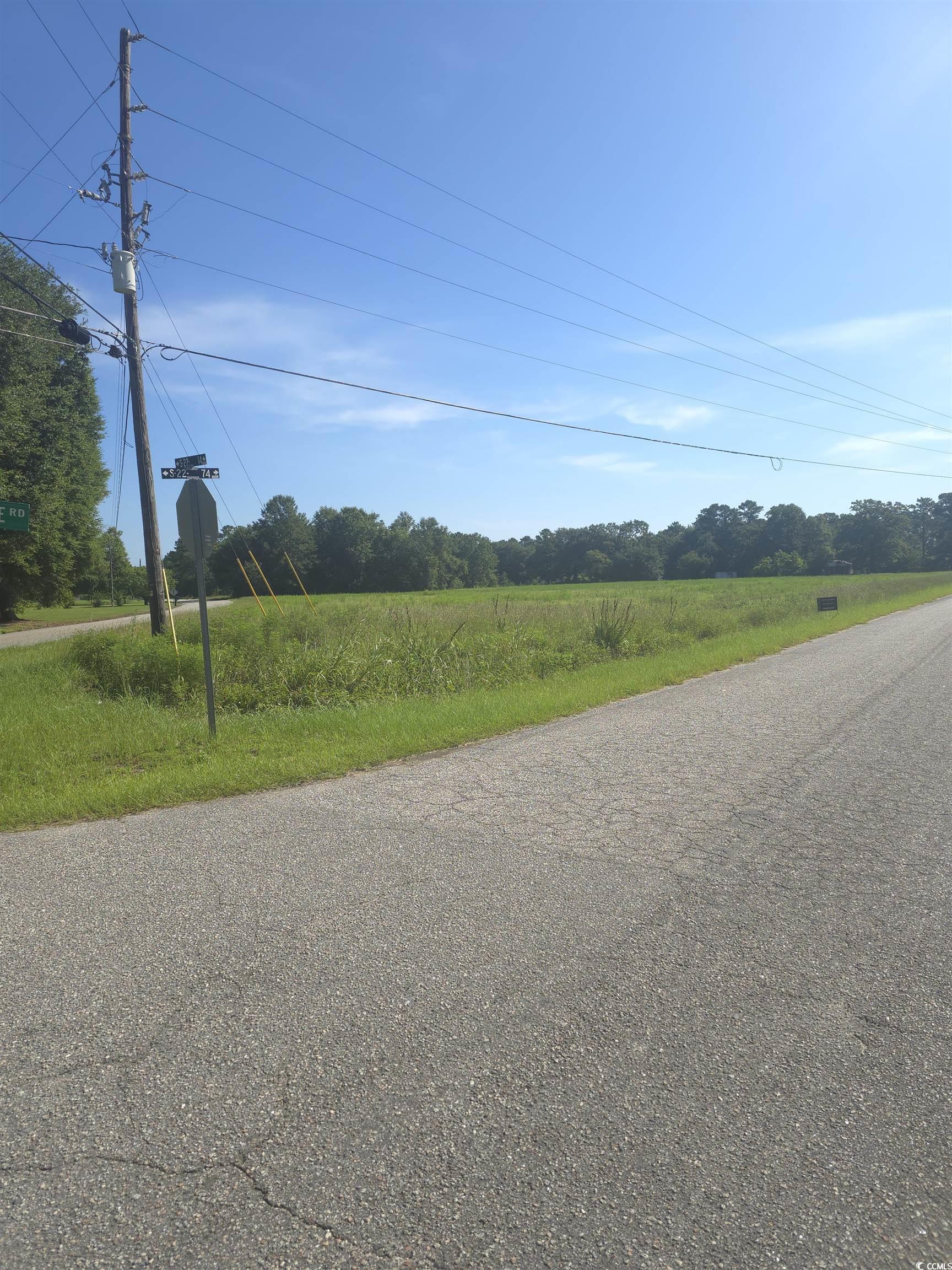 2095 Ray Road Hemingway, SC 29554 - Photo 1 of 2 View of asphalt road