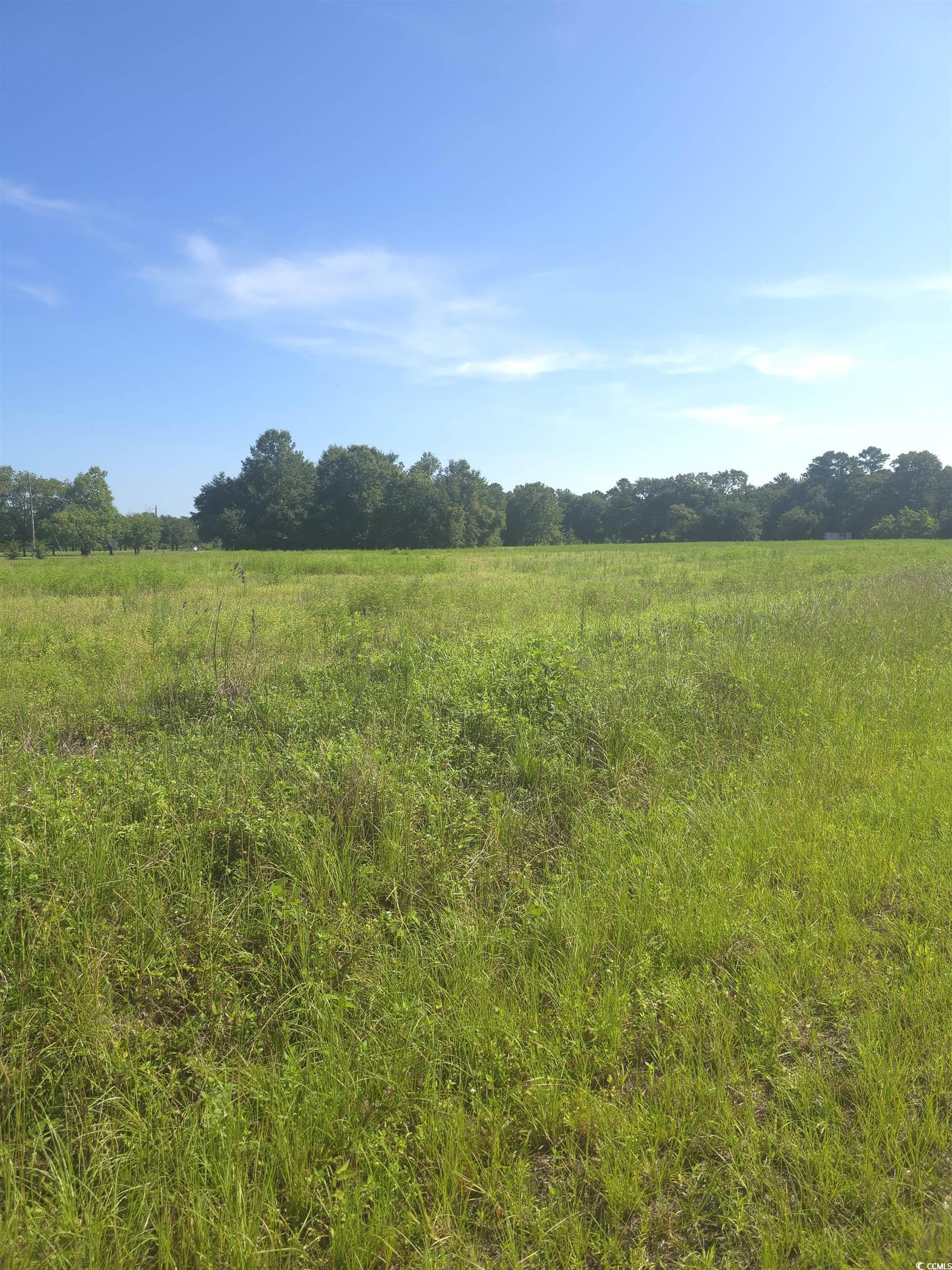 2095 Ray Road Hemingway, SC 29554 - Photo 2 of 2 View of undeveloped land with rural landscape