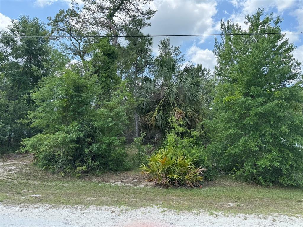 9004 Senior Way Weeki Wachee, FL 34613 - Photo 1 of 7 Gallery Image 1