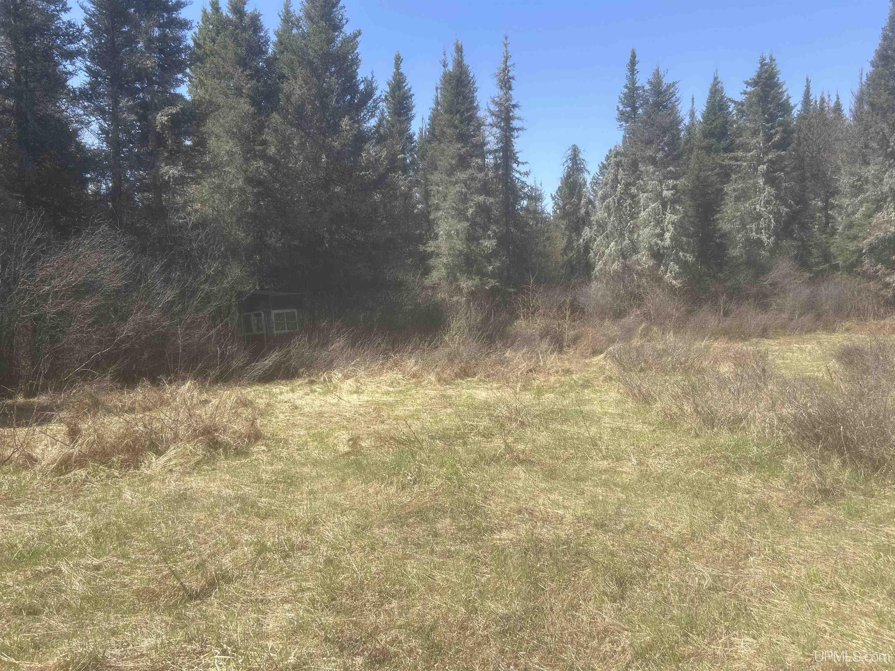 Tbd Goodhall Road Gaastra, MI 49927 - Photo 16 of 17