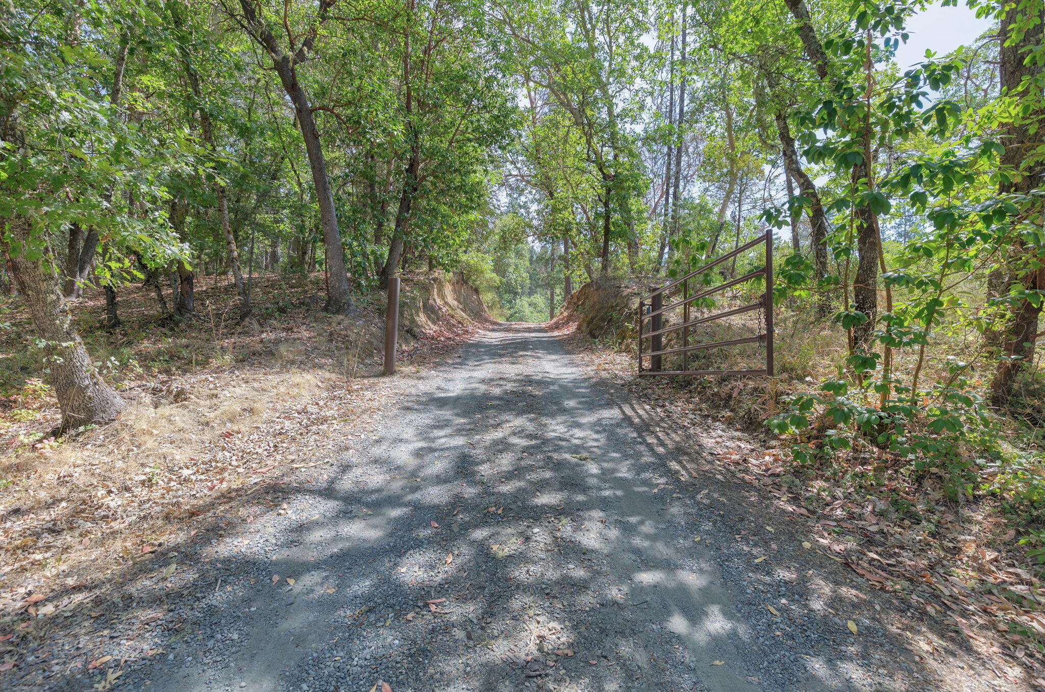 8860 Lower River Road Grants Pass, OR 97526 - Photo 39 of 48 a view of a forest with trees in the background