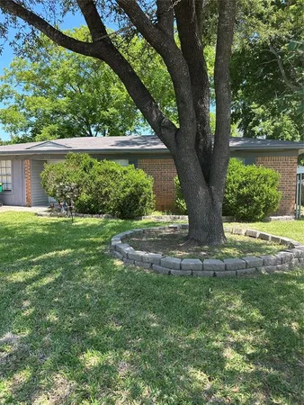 a view of a garden with a tree