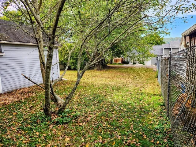 a view of a yard with an trees