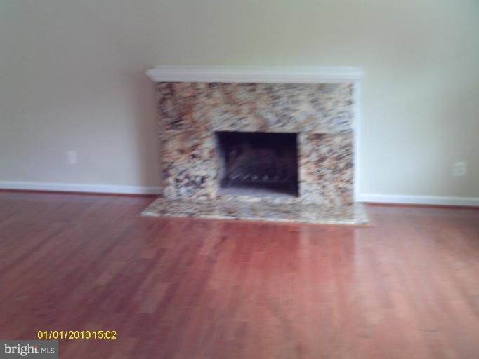 6208 Kentland Street Springfield, VA 22150 - Photo 7 of 10 Fireplace