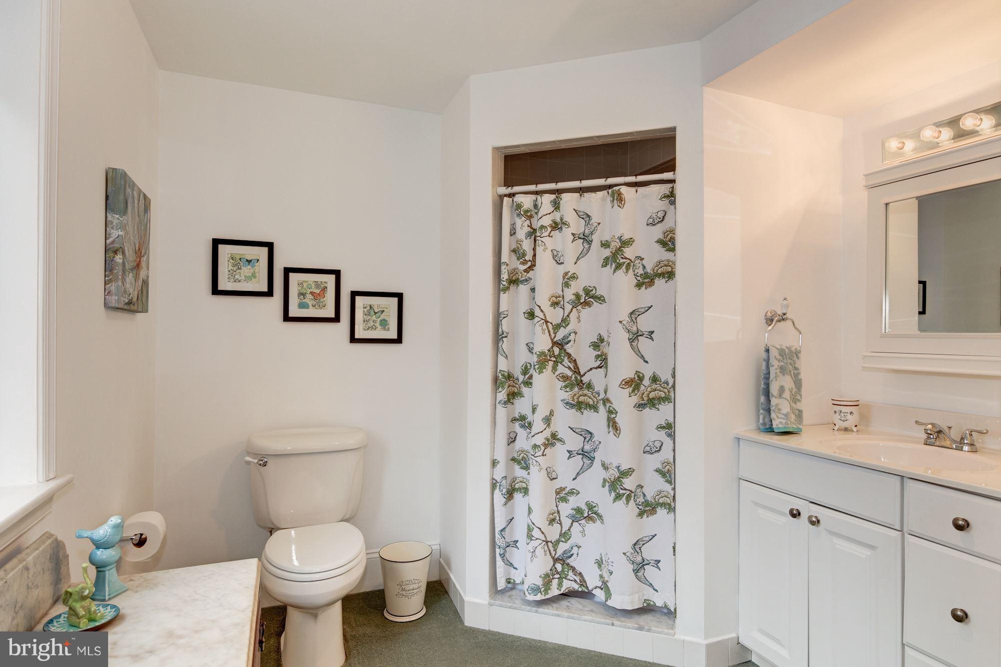 619 Kingston Road Baltimore, MD 21212 - Photo 15 of 30 Full bath