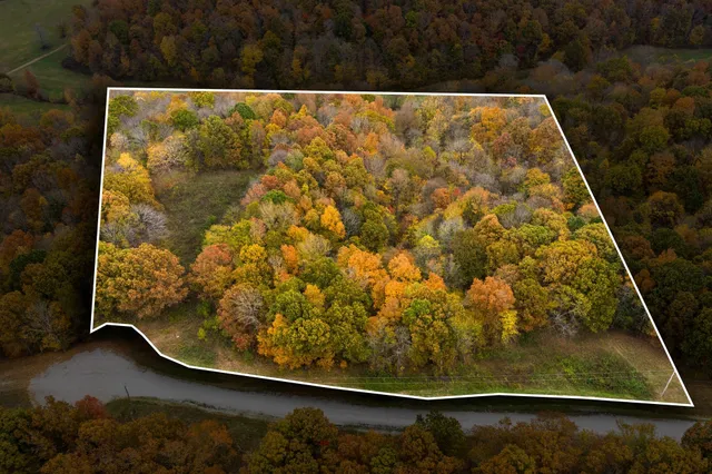 view of a wooden floor