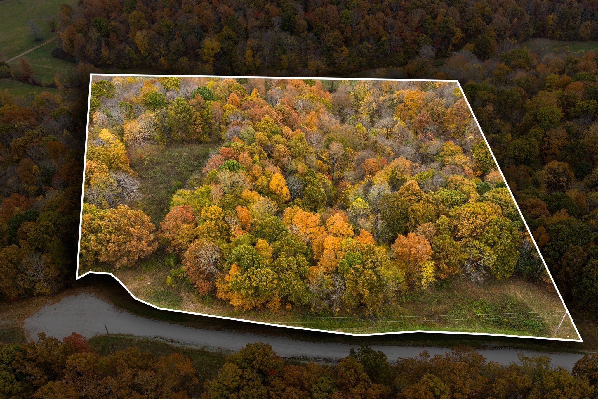 0 Overview Drive Waverly, TN 37185 - Photo 1 of 35 view of a wooden floor