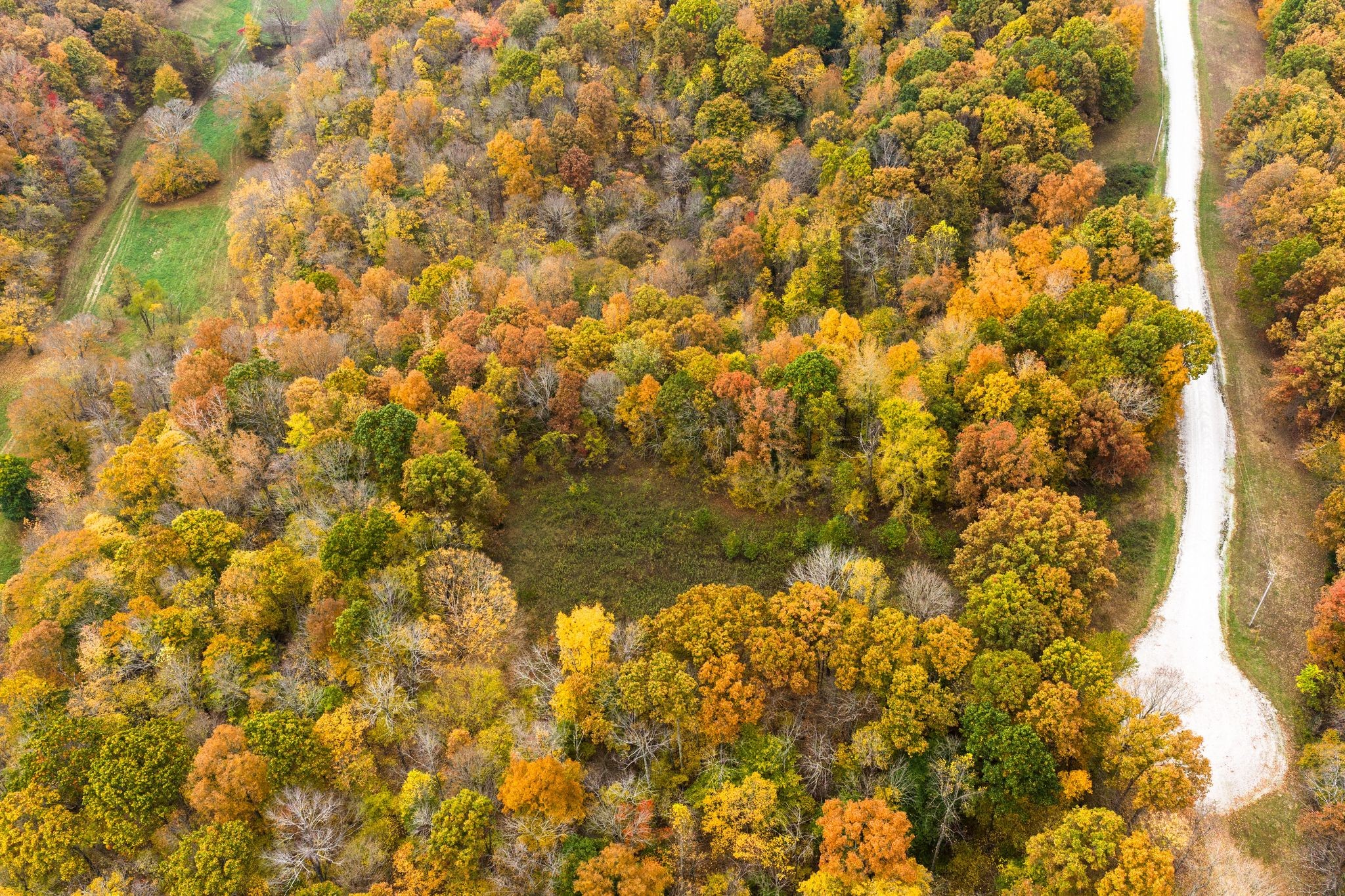 0 Overview Drive Waverly, TN 37185 - Photo 12 of 35
