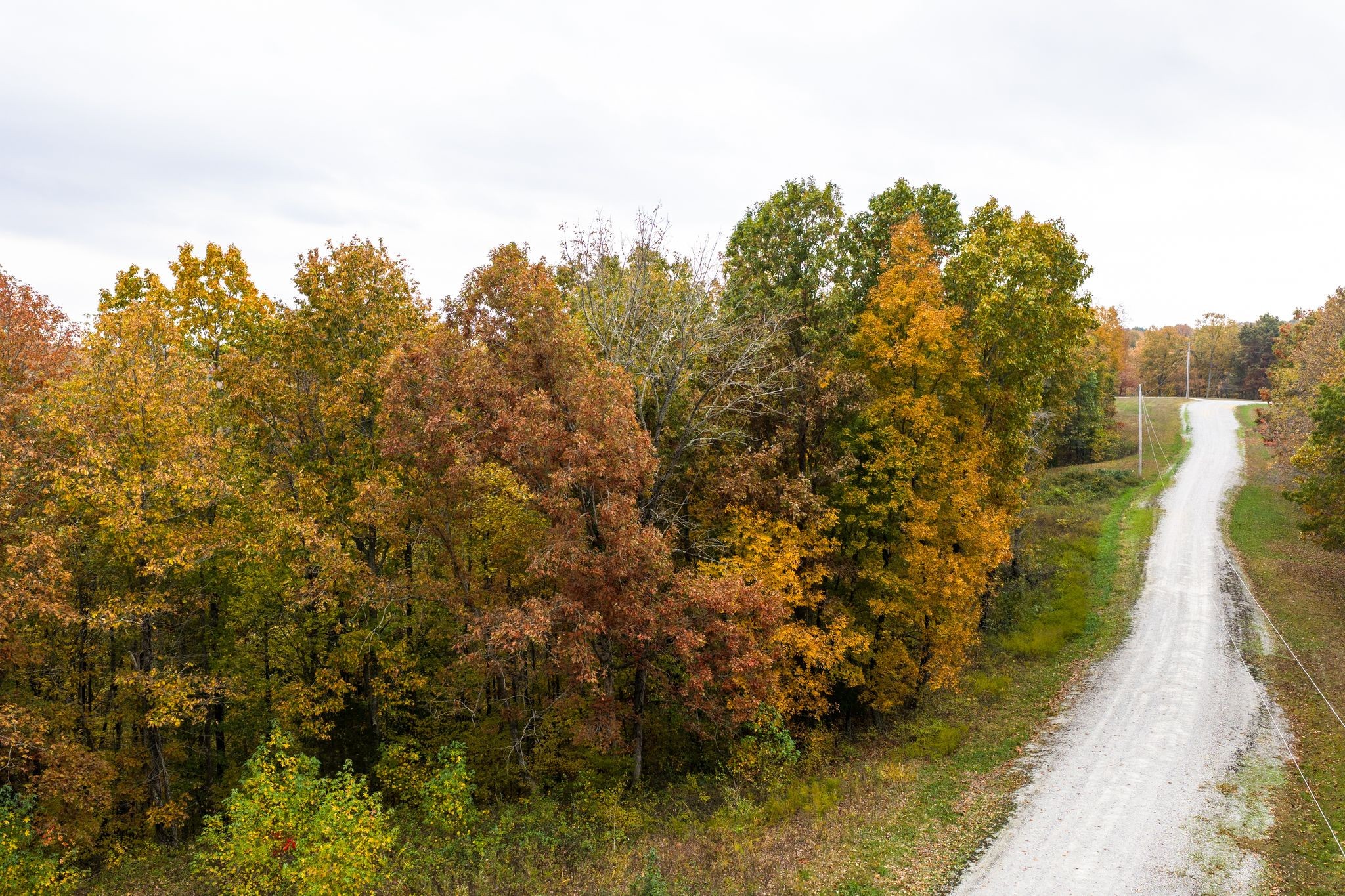 0 Overview Drive Waverly, TN 37185 - Photo 16 of 35 a view of a pathway both side of building