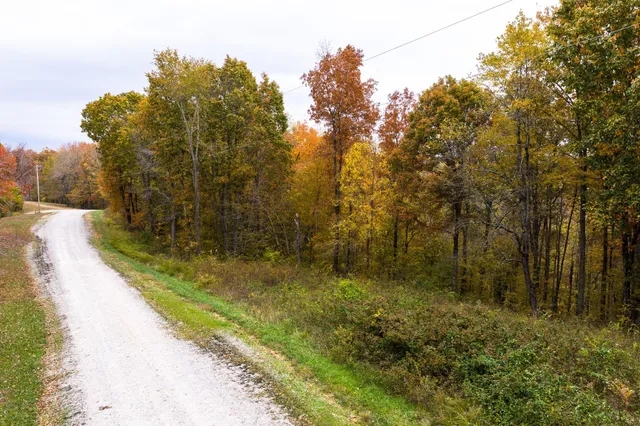 a view of a backyard with swimming pool