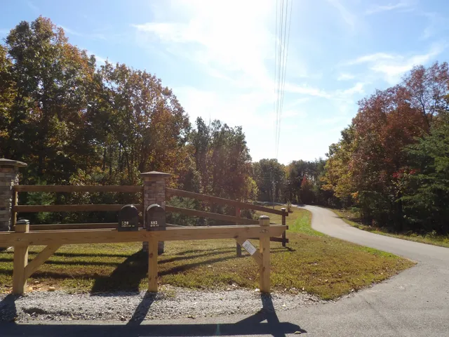 a view of a yard with plants and large trees