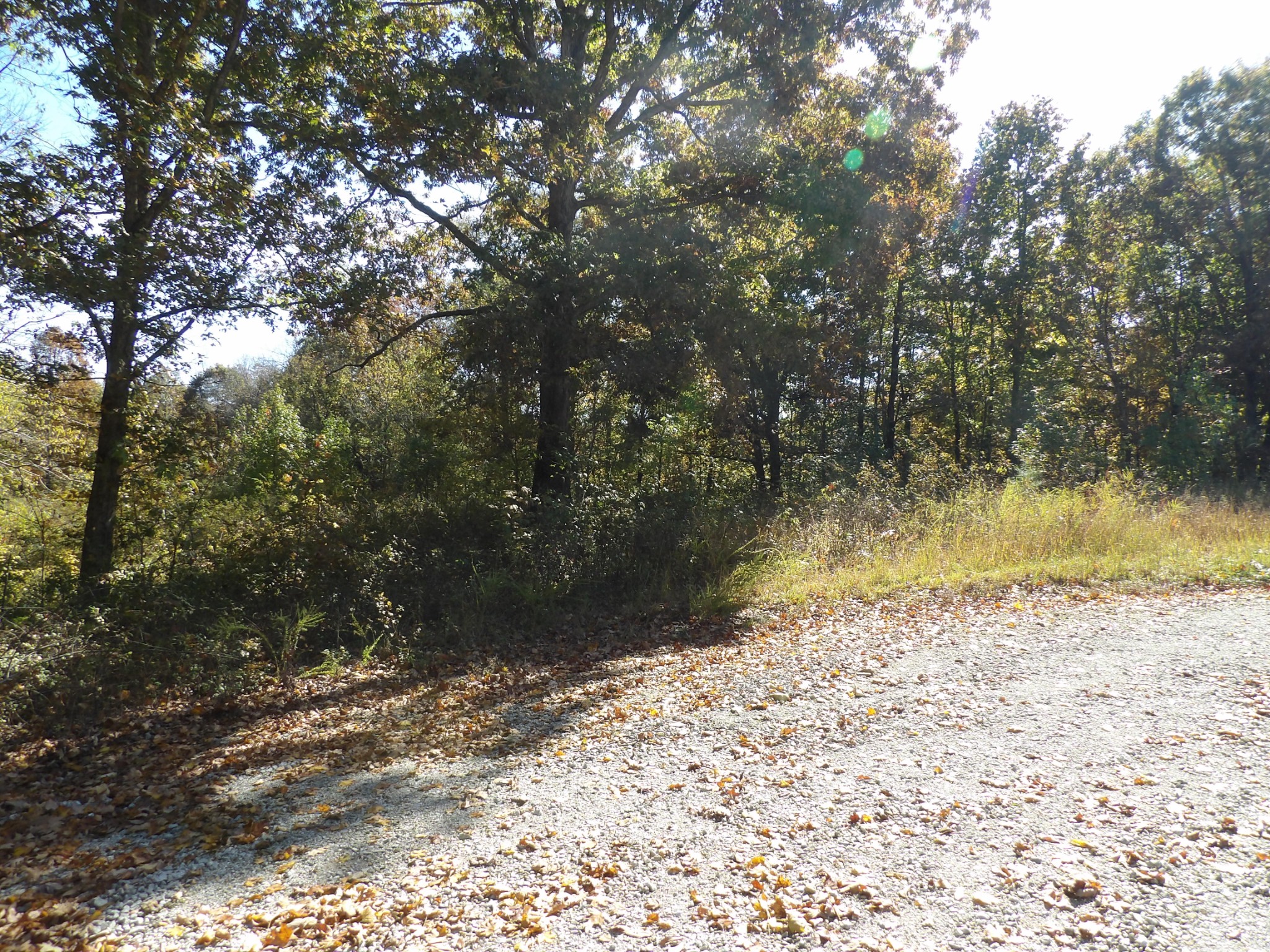 0 Overview Drive Waverly, TN 37185 - Photo 23 of 35 a view of a pathway to a yard