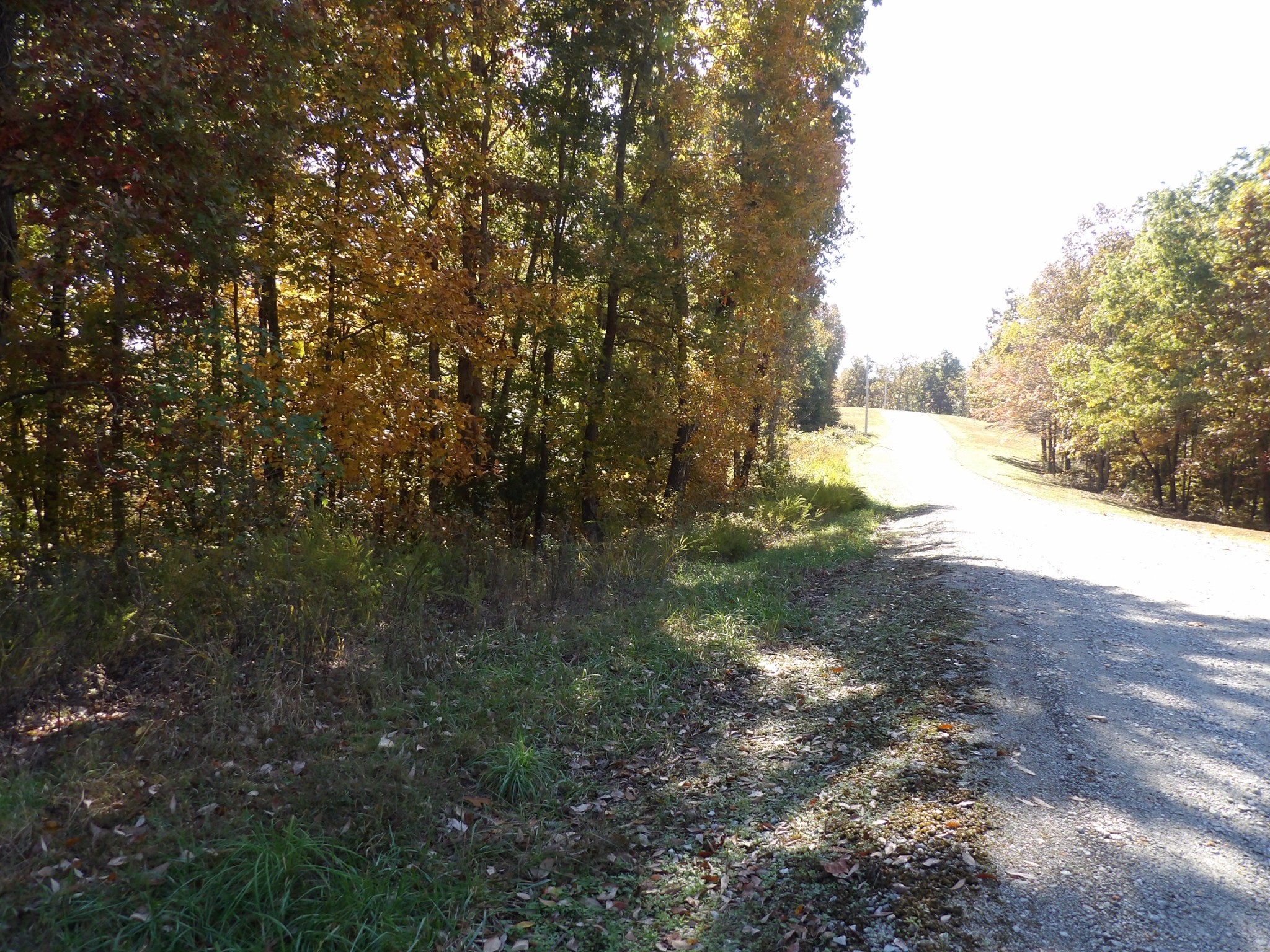0 Overview Drive Waverly, TN 37185 - Photo 27 of 35 a view of a yard with trees