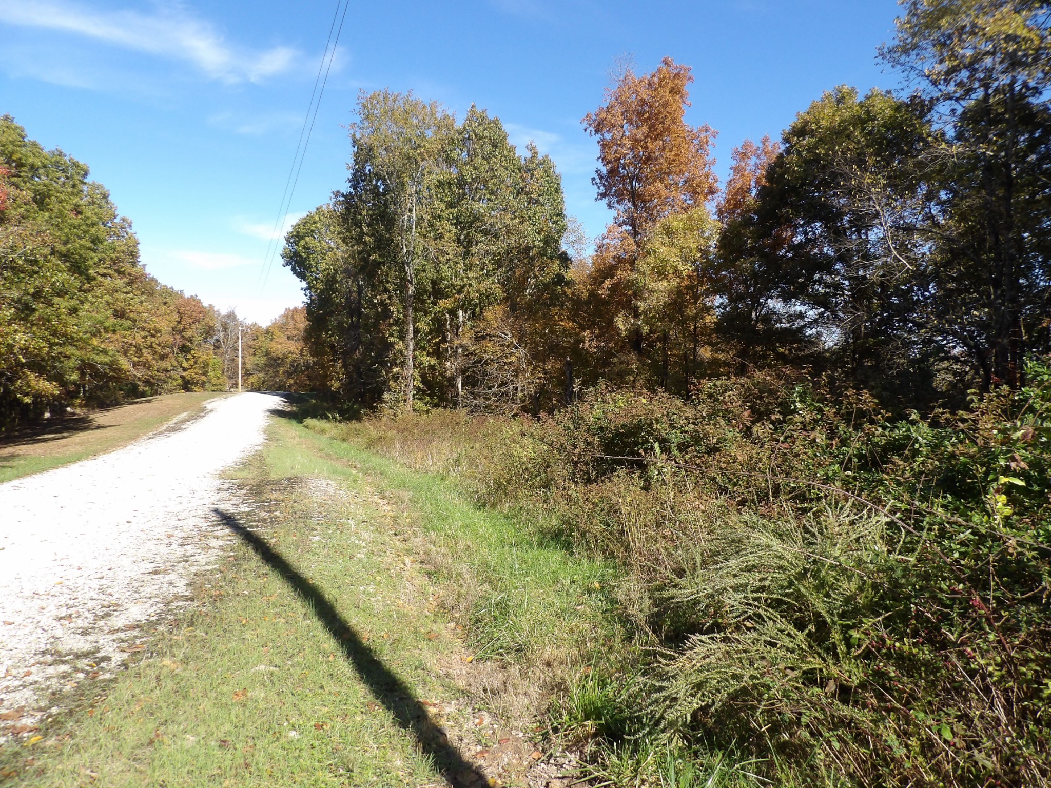 0 Overview Drive Waverly, TN 37185 - Photo 31 of 35 a view of a yard with large trees