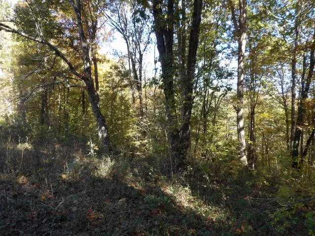 $53,900 | 0 Overview Drive, Waverly, TN 37185