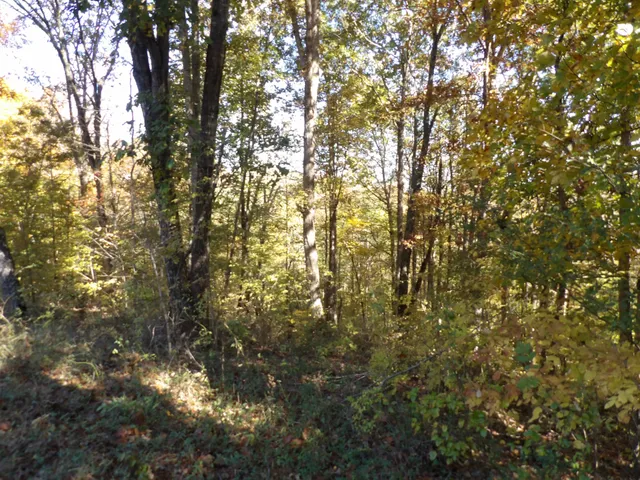 $53,900 | 0 Overview Drive, Waverly, TN 37185