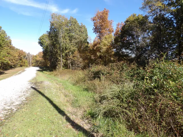 $53,900 | 0 Overview Drive, Waverly, TN 37185