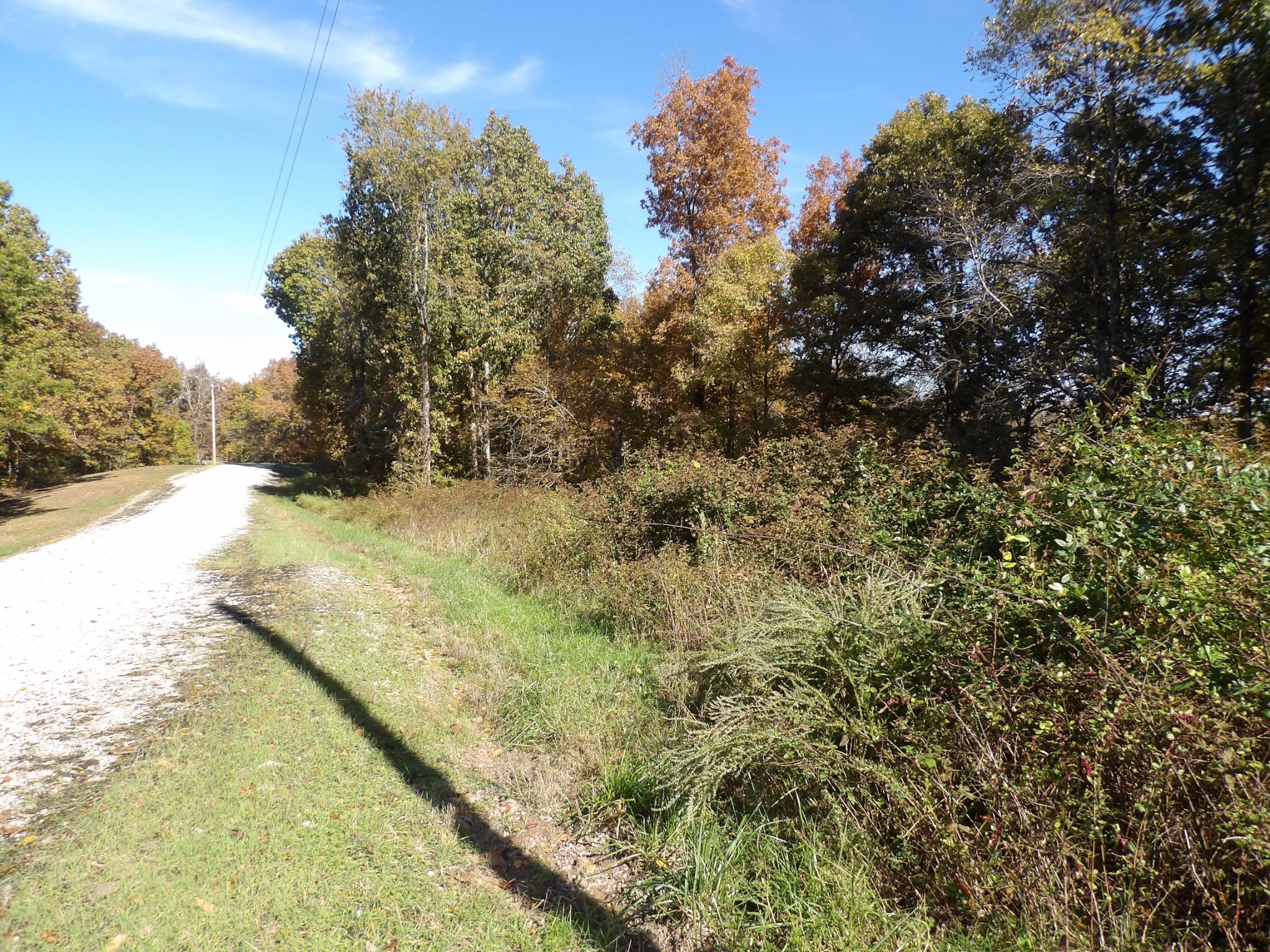 0 Overview Drive Waverly, TN 37185 - Photo 35 of 35 a view of a yard with a tree