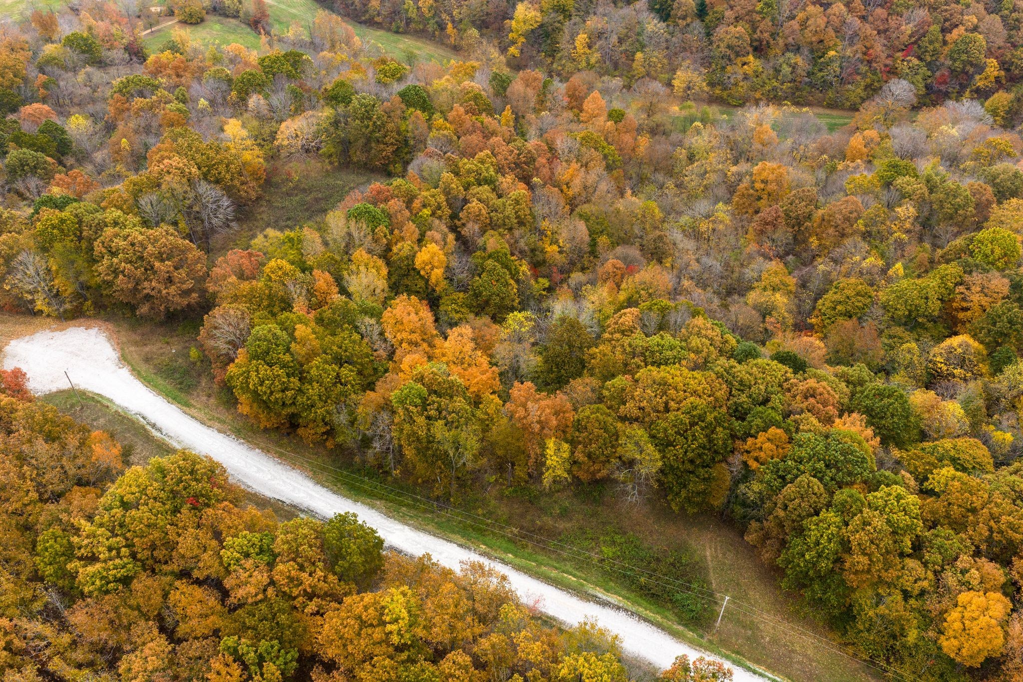 0 Overview Drive Waverly, TN 37185 - Photo 5 of 35