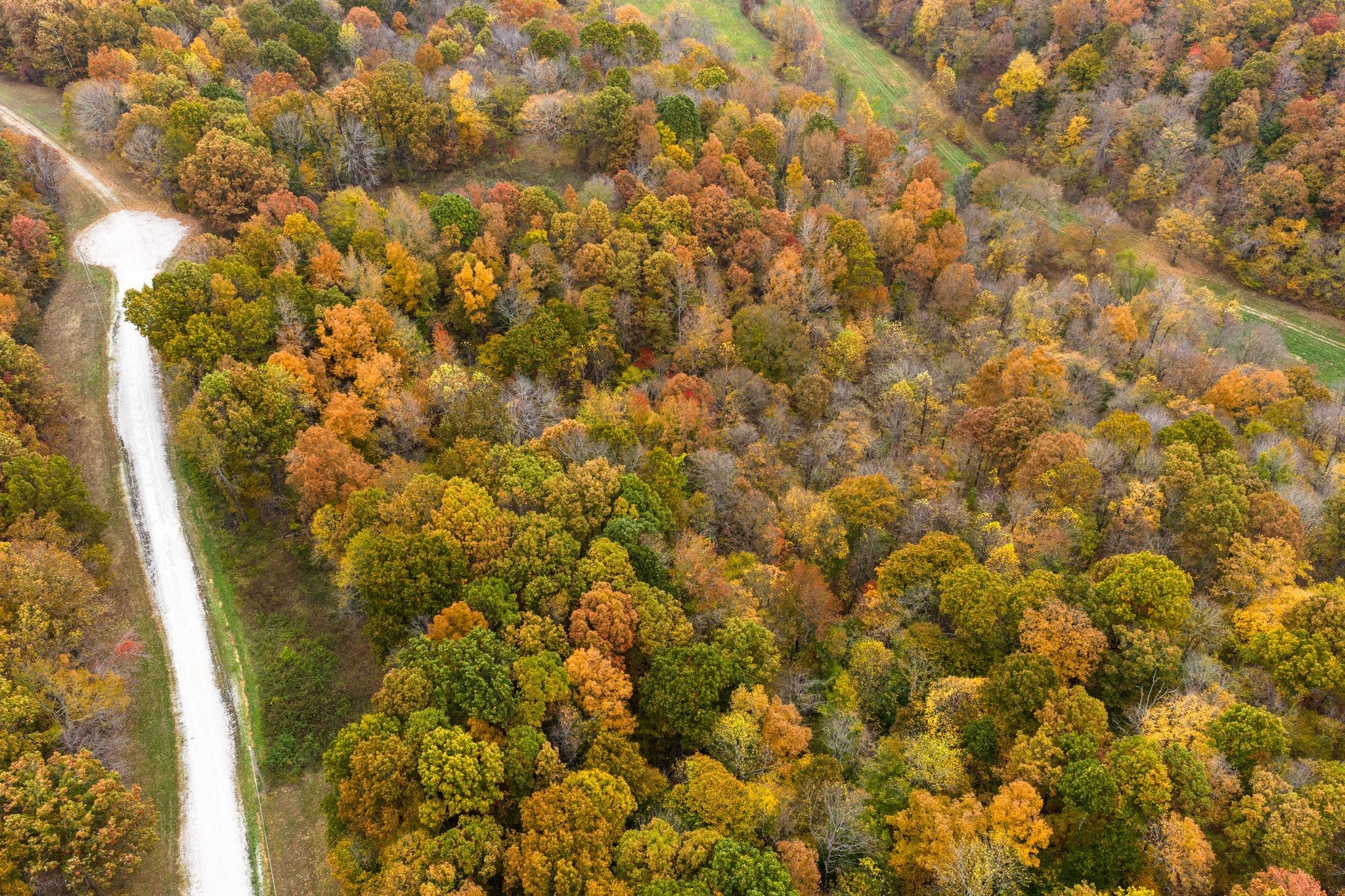 0 Overview Drive Waverly, TN 37185 - Photo 7 of 35 a view of a yard